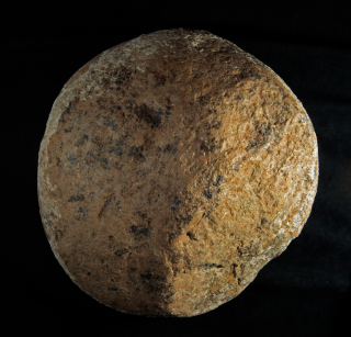 A boulder discovered at the Cerutti Mastodon site thought to have been used by early humans as a hammerstone. (Credit: Tom Deméré, San Diego Natural History Museum)